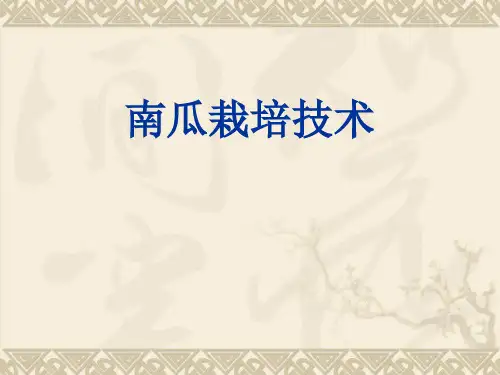 南瓜栽培技术