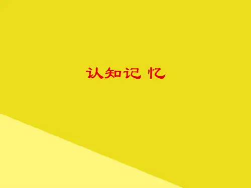 认知记 忆PPT资料(正式版)