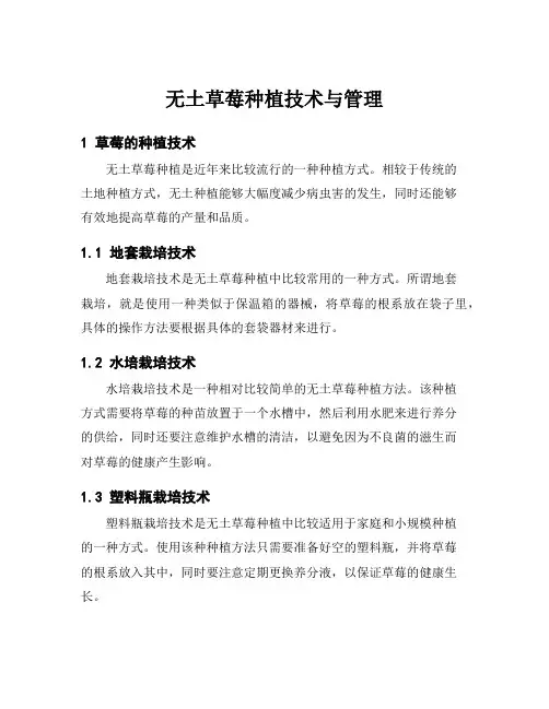 无土草莓种植技术与管理