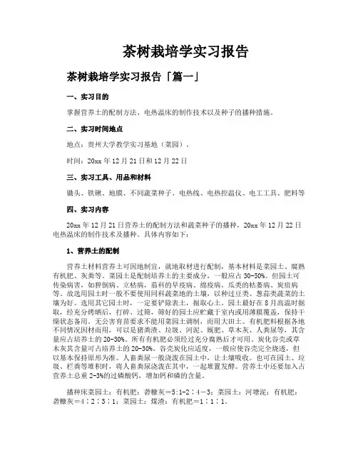 茶树栽培学实习报告