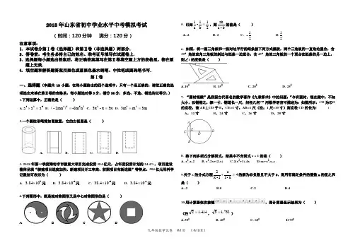 2018中考数学模拟考试含答案