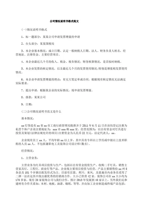 公司情况说明书格式