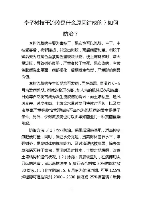 李子树枝干流胶是什么原因造成的？如何防治？