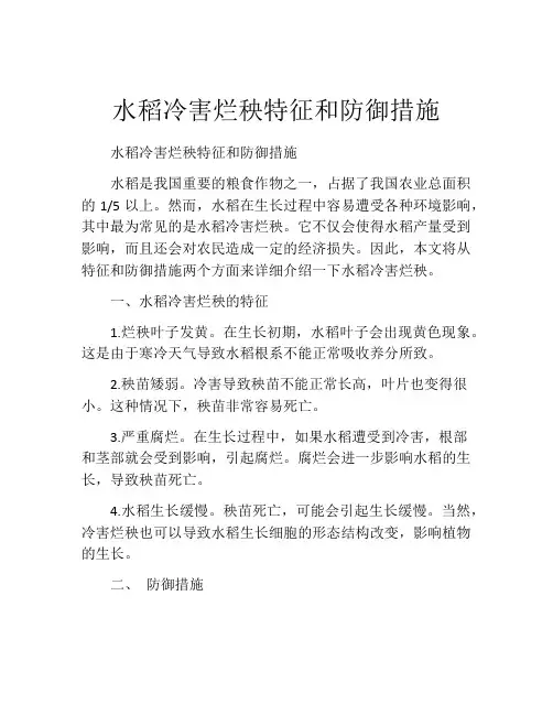 水稻冷害烂秧特征和防御措施