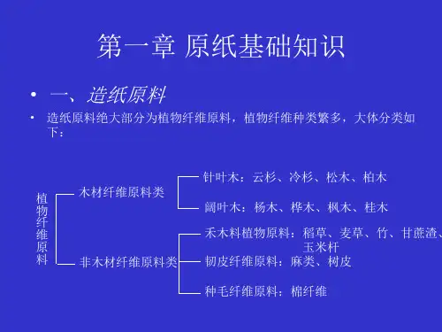 纸箱知识培训教材