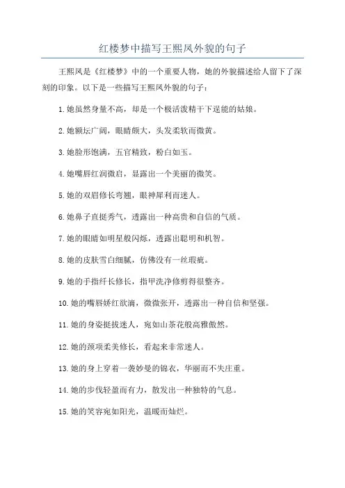 红楼梦中描写王熙凤外貌的句子