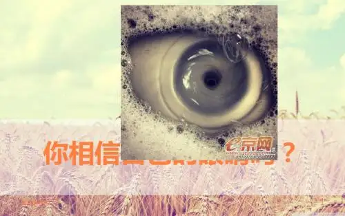 视错觉——不能完全相信你的眼睛ppt课件