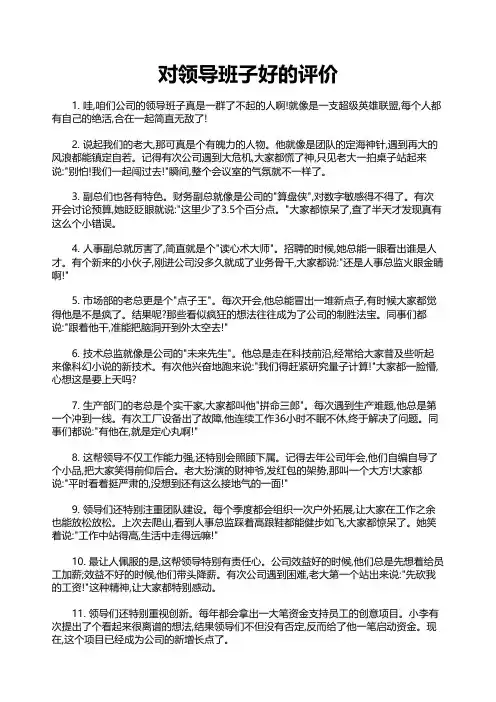 对领导班子好的评价