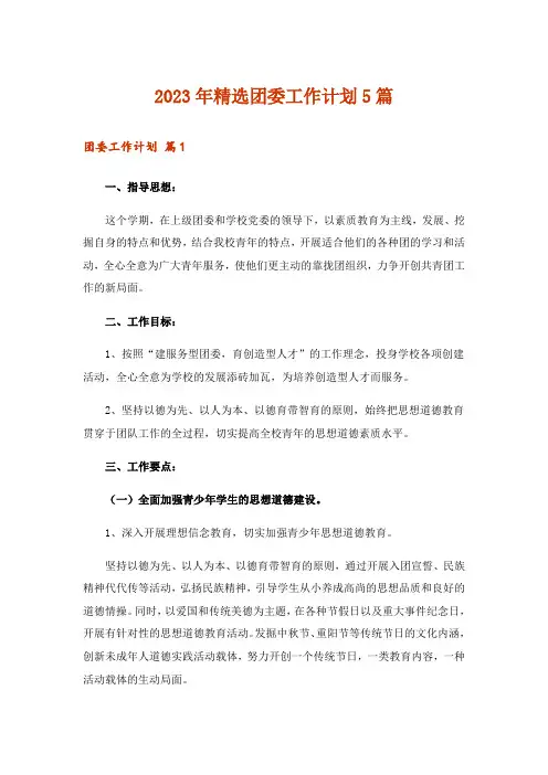 2023年精选团委工作计划5篇