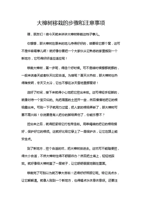 大樟树移栽的步骤和注意事项