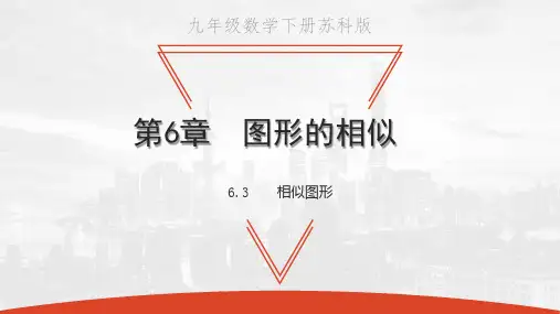 苏科版九年级下册数学教学课件 第6章 图形的相似 相似图形