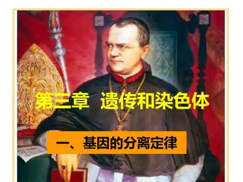 基因的分离定律