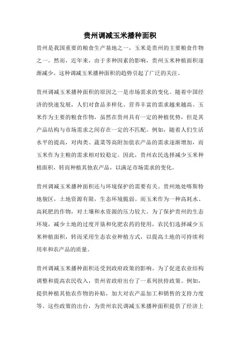 贵州调减玉米播种面积