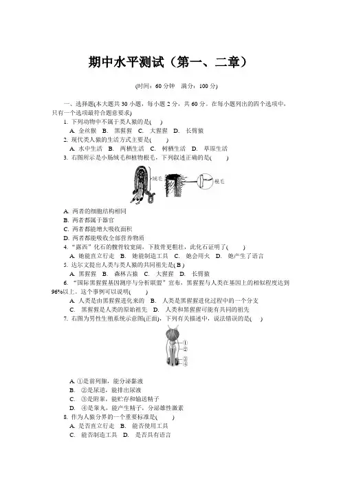 2020-2021学年七年级下学期生物期中考试试题(人教版)(word版 含答案)