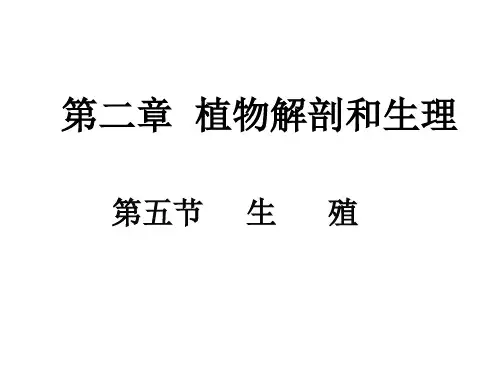 高中生物竞赛辅导课件__植物解剖和生理-第五节生殖