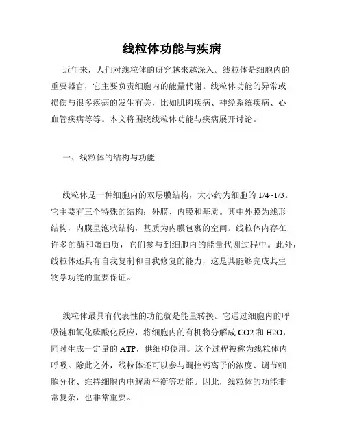 线粒体功能与疾病