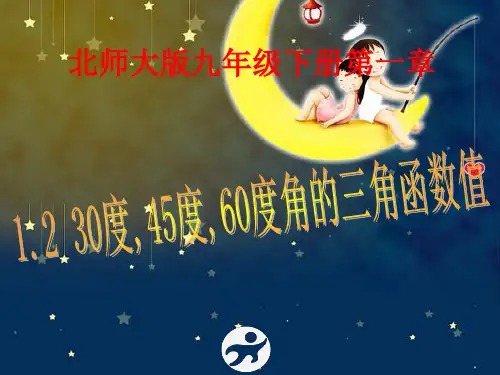 30度,45度。60度角的三角函数值PPT课件