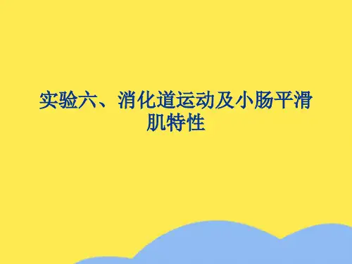 实验六、消化道运动及小肠平滑肌特性优选PPT文档