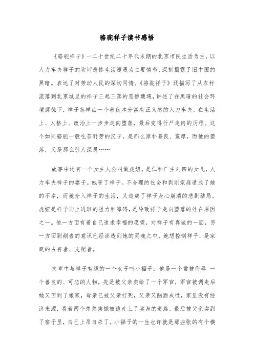 骆驼祥子读书感悟(六篇)