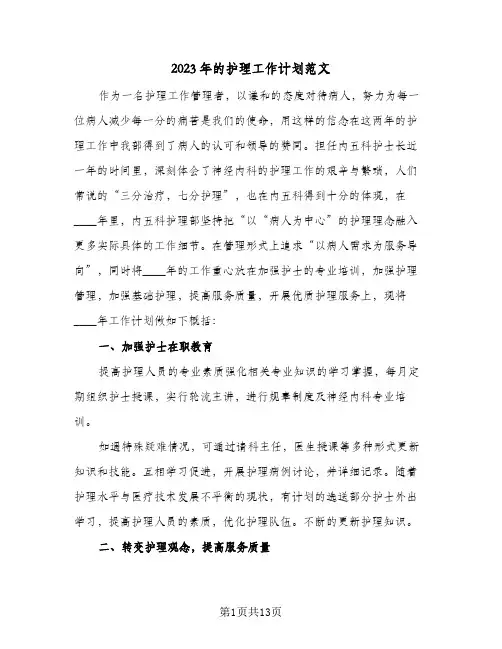 2023年的护理工作计划范文(6篇)