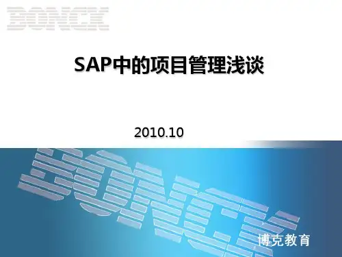 SAP中的项目管理浅谈