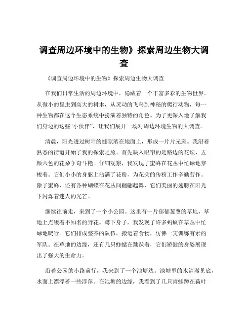 调查周边环境中的生物》探索周边生物大调查