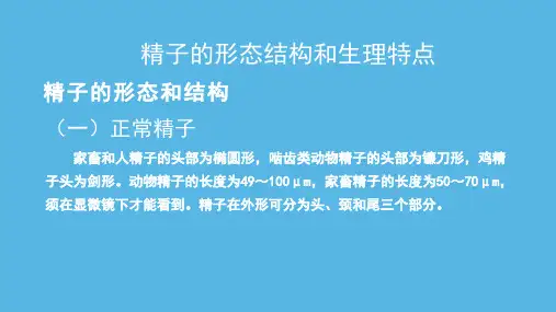 动物精子、卵子的形态结构和发生