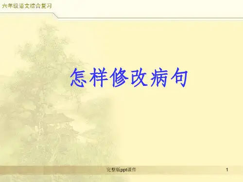 小升初语文综合复习之修改病句1PPT课件