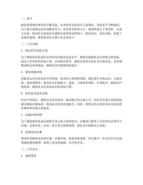 集训队工作总结报告