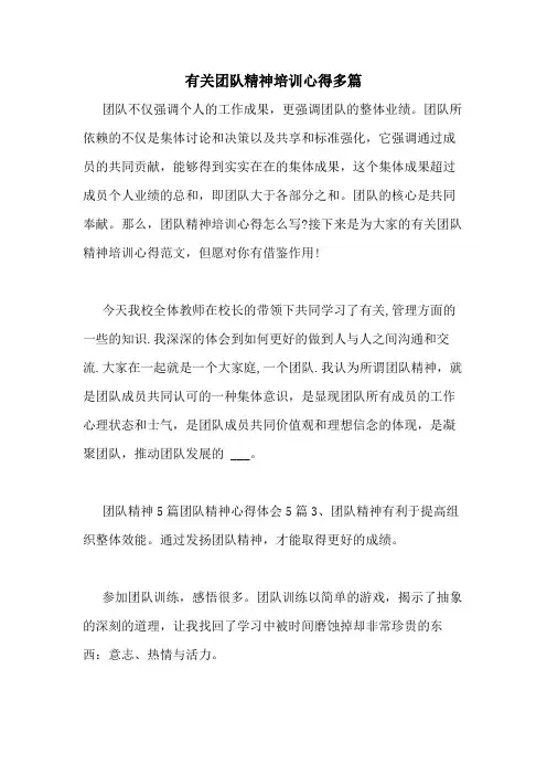2020年有关团队精神培训心得多篇