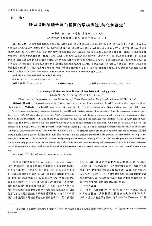 肝型脂肪酸结合蛋白基因的原核表达、纯化和鉴定