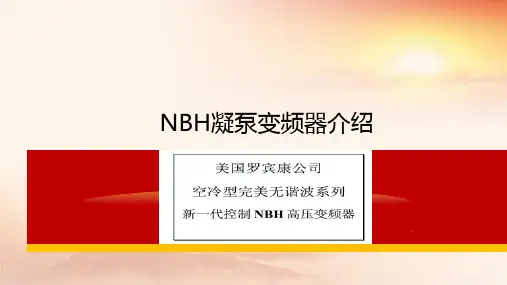 NBH凝泵变频器介绍