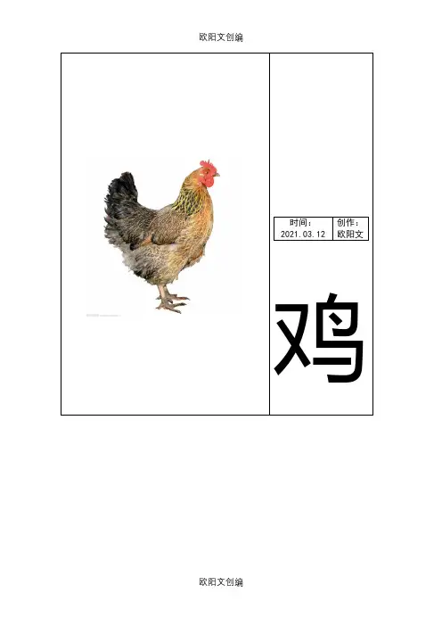 动物卡片(幼儿识图)之欧阳文创编
