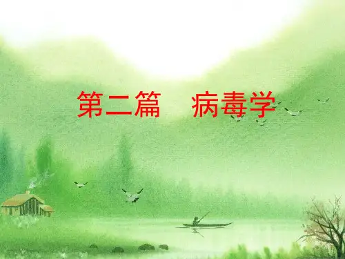 病毒的基本性状.ppt