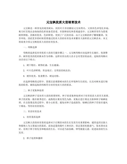 元宝枫优质大苗培育技术