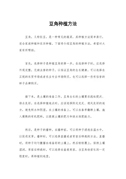 豆角种植方法