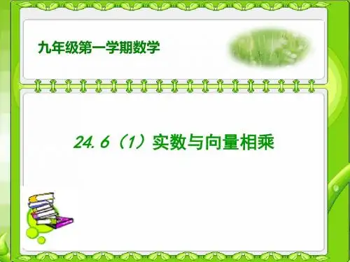 24.6(1)实数与向量相乘(一)