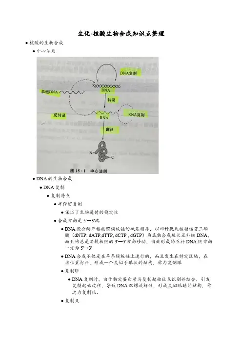 生化-核酸生物合成知识点整理