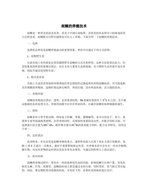 泥鳅的养殖技术