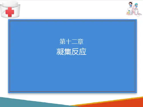 凝集反应(免疫学检验课件)