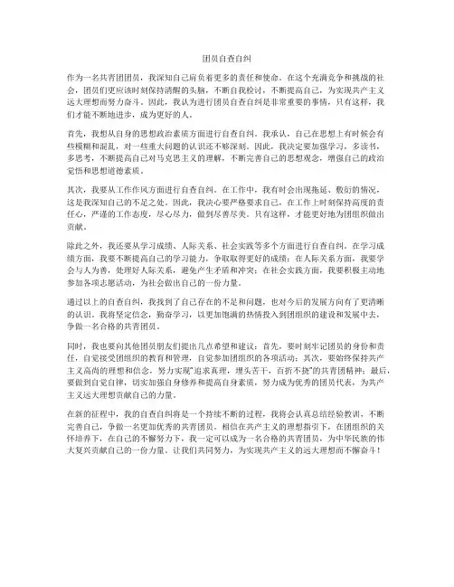 团员自查自纠