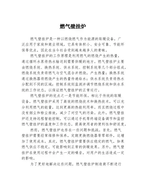 燃气壁挂炉