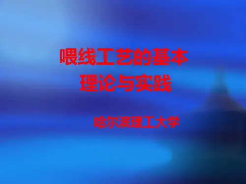 喂线工艺的基本理论与应用实践(球铁)