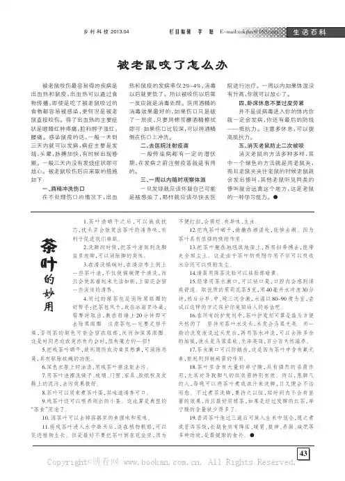 被老鼠咬了怎么办