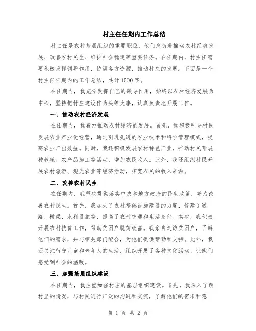 村主任任期内工作总结