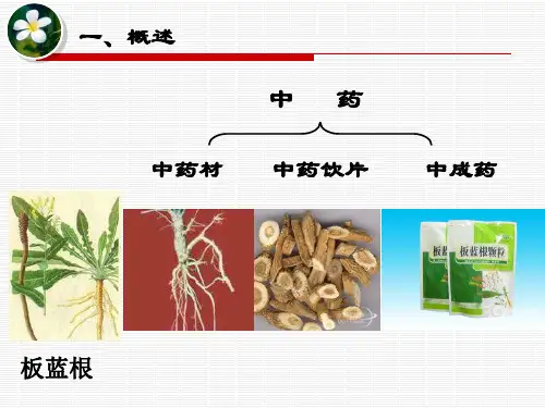 中药的保管养护PPT课件