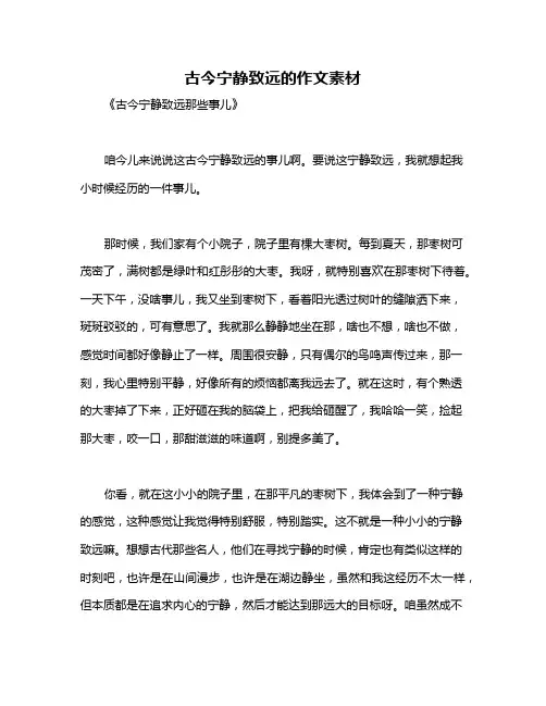 古今宁静致远的作文素材