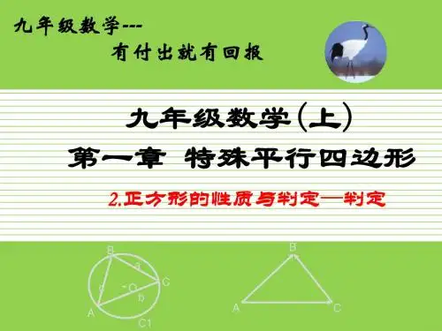 1.3.2正方形的判定上课课件(北师大新版)