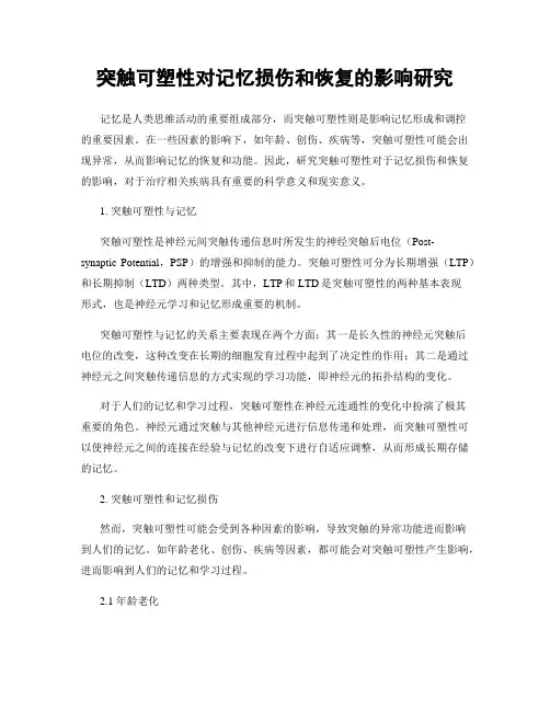 突触可塑性对记忆损伤和恢复的影响研究