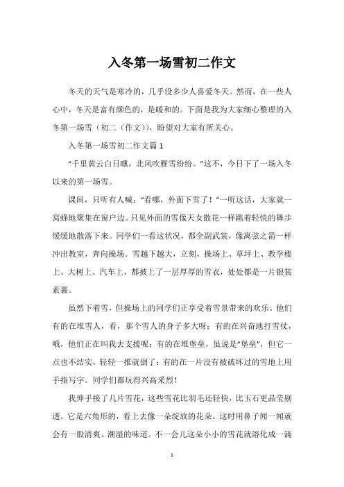 入冬第一场雪初二作文